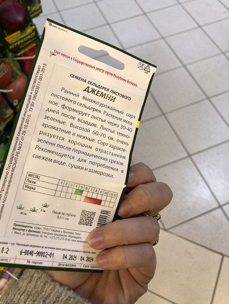 сельдерей листовой Джемни